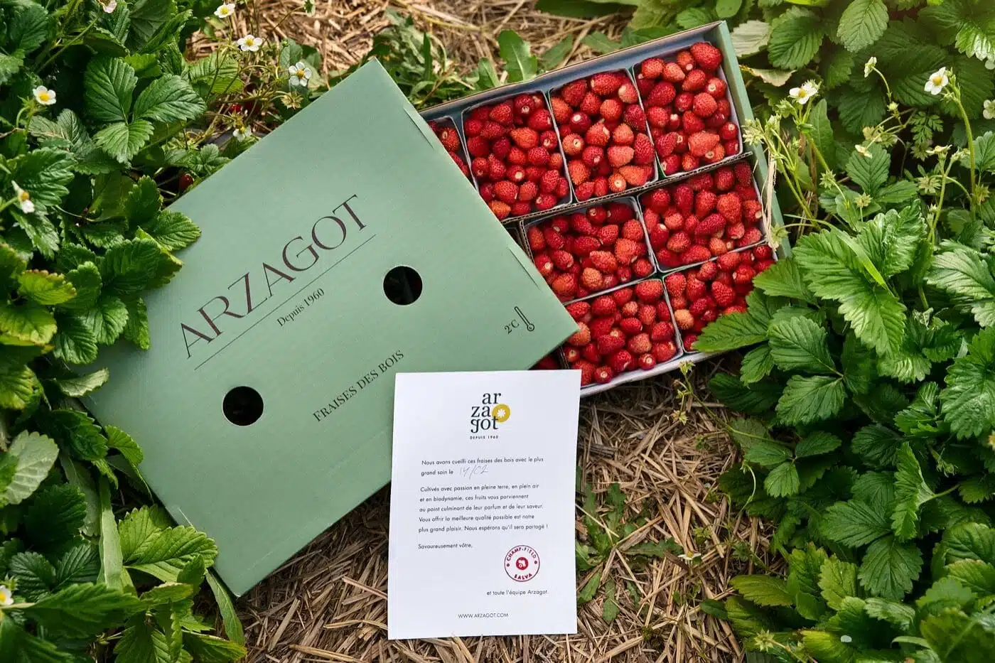 ARZAGOT-231.jpg.webp