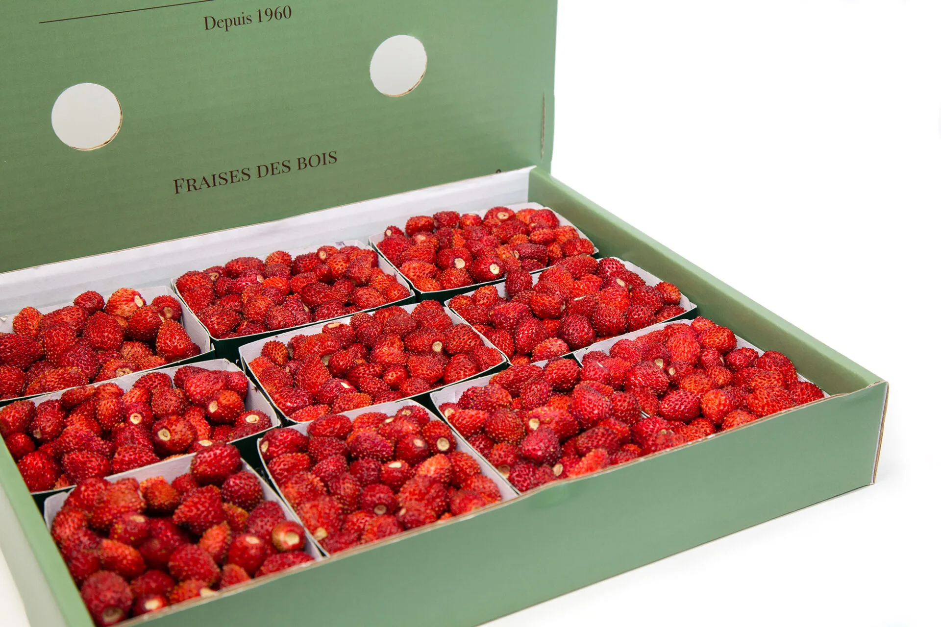 Wild strawberries - Arzagot