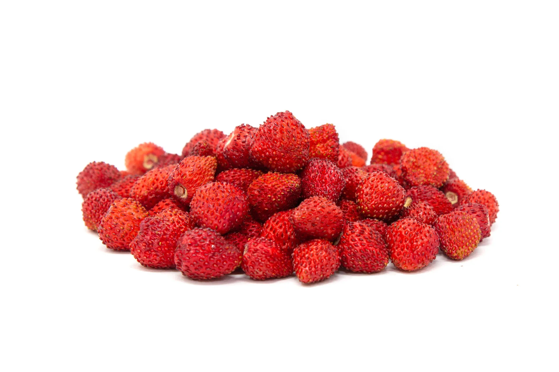  WILD STRAWBERRY 超美品 Wild strawberries - Arzagot