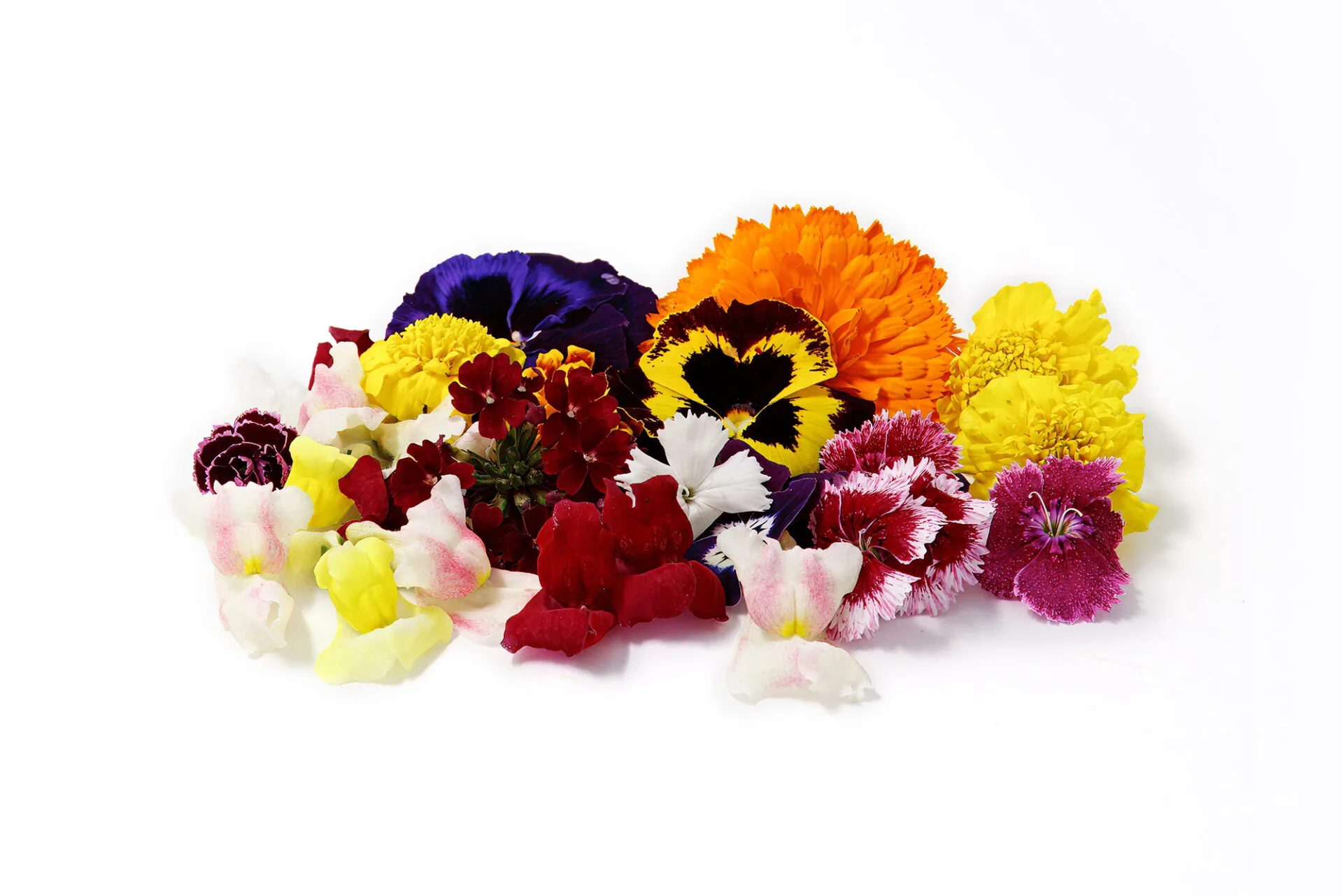 Flores mixtas - Arzagot