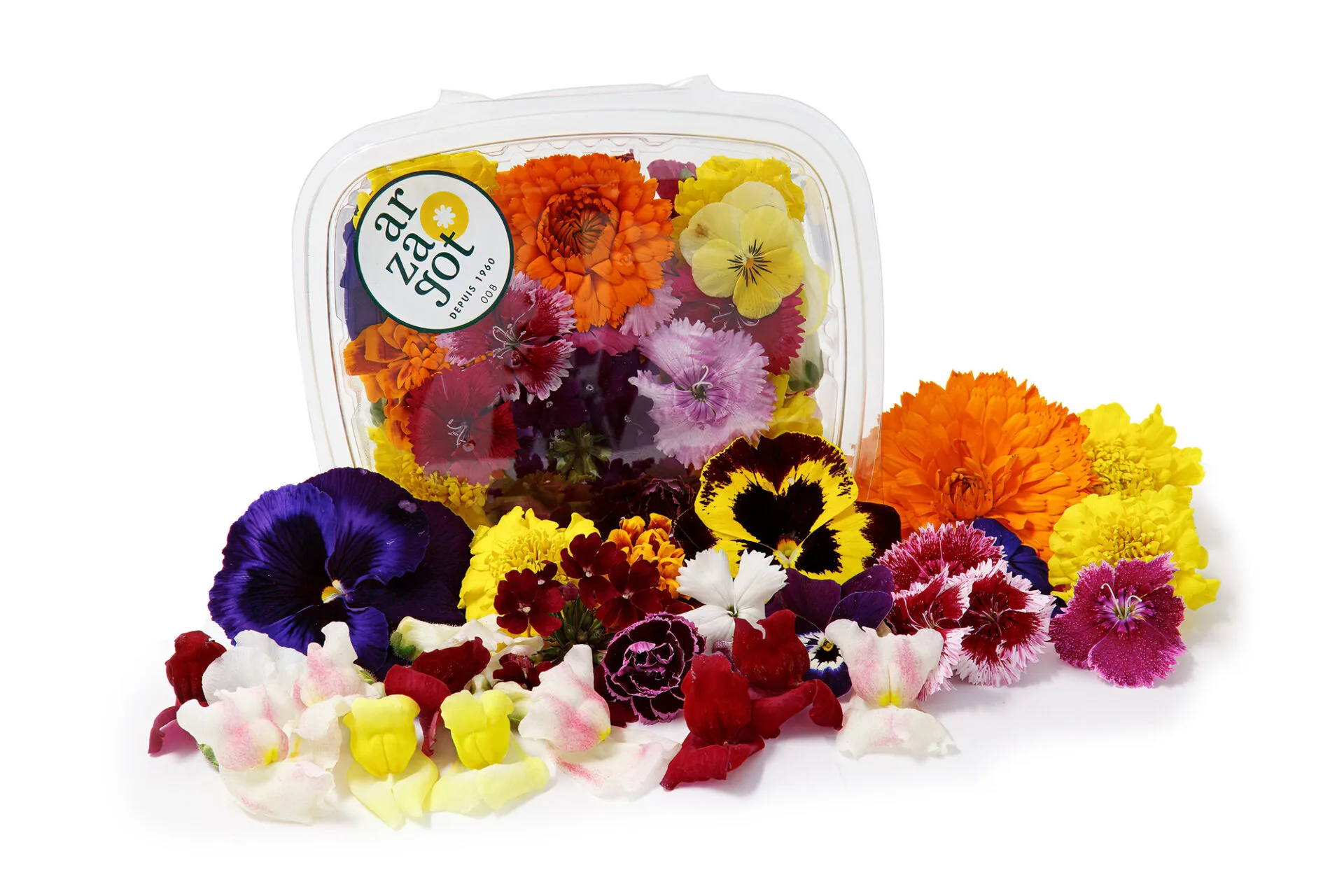 Flores mixtas - Arzagot
